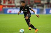 Leon Bailey, Bayer Leverkusen, 1. Bundesliga, FC Bayern.