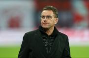 Ralf Rangnick, Ralf Rangnick