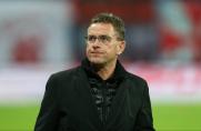 Ralf Rangnick, Ralf Rangnick