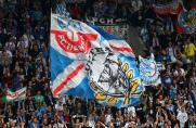 Fans, Hansa Rostock, Fans, Hansa Rostock