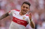 Fortuna Düsseldorf: Abwehrspieler aus Stuttgart kommt