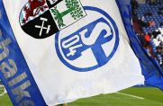 Der FC Schalke 04 hat sich ein vielversprechendes Talent aus Polen geangelt.