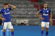 Bilder sagen mehr als Worte: Große Ernüchterung auf Schalke.