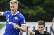 Benedikt Zahn erzielte für die U23 des FC Schalke 04 in 55 Einsätzen 22 Tore.