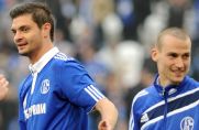 Beim FC Schalke 04 ging Angelos Charisteas im Jahr 2011 für sechs Monate auf "Torejagd".