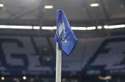 Benefizspiel für Flutopfer: Schalke empfängt Bayern München