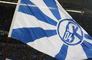 Schalke: Neu im Wahlausschuss: Das sagt Torsten Wieland