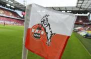 1. FC Köln, 1. FC Köln