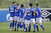 RL West: 8-Tore-Spektakel bei Schalke-II-Spiel gegen Ahlen