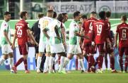 bayern fürth, bayern fürth