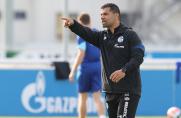 Schalke in Rostock: Drei Wechsel - Fraisl, Aydin und Wouters im Team