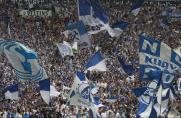 Fans, Schalke, TuS Wengern, Nordkurve, Schalke Fans, Fans, Schalke, TuS Wengern, Nordkurve, Schalke Fans