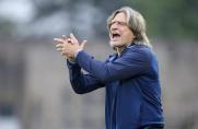 U19: Schalke holt Last-Minute-Punkt - Bochum überrollt RWO