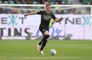 borussia mönchengladbach, Matthias Ginter, borussia mönchengladbach, Matthias Ginter