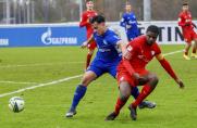U19-BL: VfL Bochum zieht an Schalke vorbei, Elgert versöhnlich