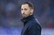 Bei RB-Vorstellung: Domenico Tedesco mit S04-Liebeserklärung