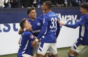 Schalke 04, Malick Thiaw, Schalke 04, Malick Thiaw