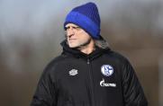 U19-Bundesliga: Schalke zeigt Reaktion, RWE-Traumtor, wilde MSV-Aufholjagd