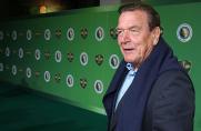 2. Bundesliga: Hannover 96 bereitet Rauswurf von Gerhard Schröder vor