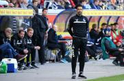 Bundesliga: Ex-MSV-Trainer betreut Bielefeld gegen den BVB