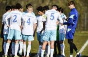 U17: Schalke liefert sich Dreikampf um Teilnahme an der Meisterrunde