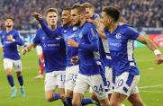Schalke: Drexler guckt nicht auf die Tabelle - "Ich will aufsteigen!"