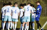 U17: Verfolger patzt - Schalke der West-Meisterschaft ganz nah