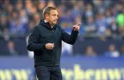 Bundesliga: Ex-Schalke-Trainer erklärt sein Hoffenheim-Engagement