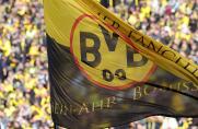 Bundesliga: BVB schnappt sich Bayern-Chefscout Laurent Busser