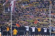 3. Liga: 1860-Trainer tief enttäuscht, Dynamo-Fans stellen Dresden-Profis zur Rede