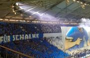 Schalke: Umstrittende S04-Choreo auf Platz eins