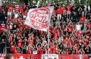 Hallescher FC: So viele Fans begleiten den HFC zu Rot-Weiss Essen