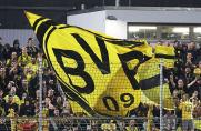 BVB: Zwölf Scorerpunkte in der Regionalliga - U23 holt diesen Mittelstürmer