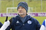 U19-Bundesliga: Schalke-Trainer Elgert über Saisonendspurt und Derby gegen VfL Bochum