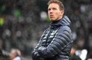 DFB-Sportgericht: Saftige Geldstrafe für Nagelsmann