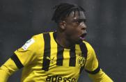 Youth League: BVB U19 schmeißt Top-Favorit PSG raus - City auch draußen