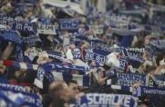 12.000 Schalke-Anhänger? Mit so vielen Gästefans rechnet die TSG Hoffenheim