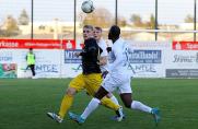 Oberliga Niederrhein: SSVg Velbert rettet späten Punkt gegen VfB Homberg