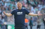 "Verpiss dich": Hertha-Trainer Dardai schmeißt Profi vom Trainingsplatz