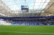 Schalke: Erstmals seit 2018 - Nationalteam kommt in die Arena