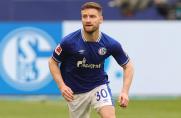 FC Schalke: Das denkt Shkodran Mustafi über seinen Ex-Klub im Abstiegskampf