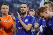 FC Schalke: "Es ist eine Religion, die hier gelebt wird" - Die Stimmen zum 2:1-Wahnsinn