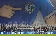 Schalke: UGE - riesige Fanaktion gegen Frankfurt - so ist der Plan