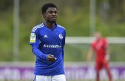 Schalke: U23-Talent Kyerewaa bald in der Bundesliga?