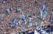 Schalke vor BVB: In welchem Stadion ist die beste Stimmung?