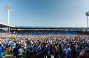 VfL Bochum: Stöger: "Was da draußen abgeht, ist der Wahnsinn!"