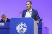 Schalke: Das sagt S04-Boss Hefer zu einer möglichen Ausgliederung