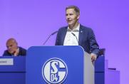 Schalke: Aufsichtsrats-Chef Hefer erklärt Talent-Strategie und zieht Vergleich zum BVB