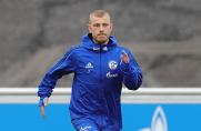 Schalke: Ex-Königsblauer Max Meyer verdoppelt seinen Marktwert