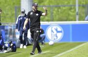 Regionalliga West: Aufsteiger SC Paderborn II geht mit neuem Trainer in die Saison